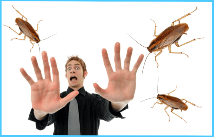 6 жутких фактов о тараканах, которые приводят в ужас - фото